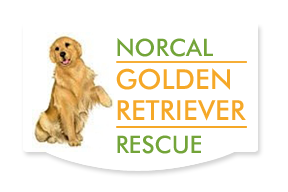 Norcal Golden Retriever Rescue (NGRR) - Logo