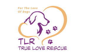 True Love Rescue - Logo