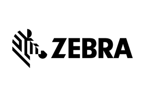 Zebra - 2023